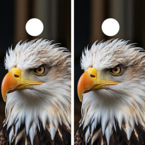 American Eagle Cornhole Set - Design 9