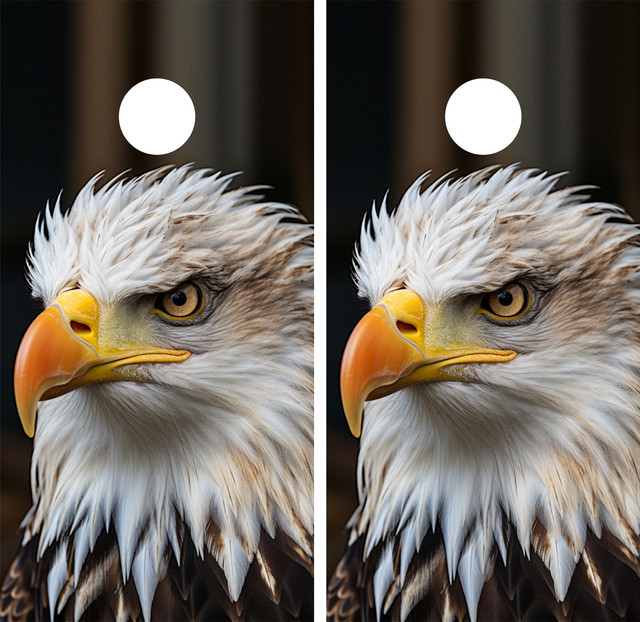 American Eagle Cornhole Wraps - Design 9